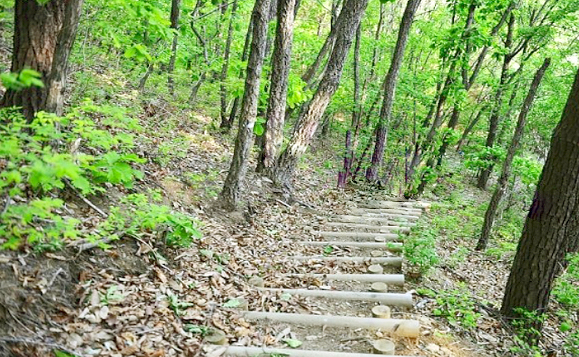 가볼만한 곳
