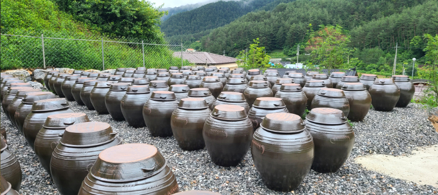 솔안누리 전경